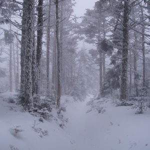 Meet your Posher, Minsung